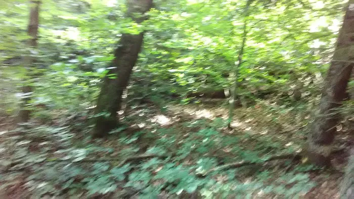 Camp Arrowhead BSA Picture 9