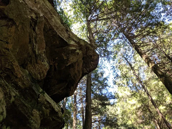 Canter's Cave Picture 6