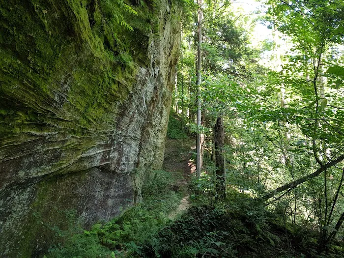 Canter's Cave Picture 3