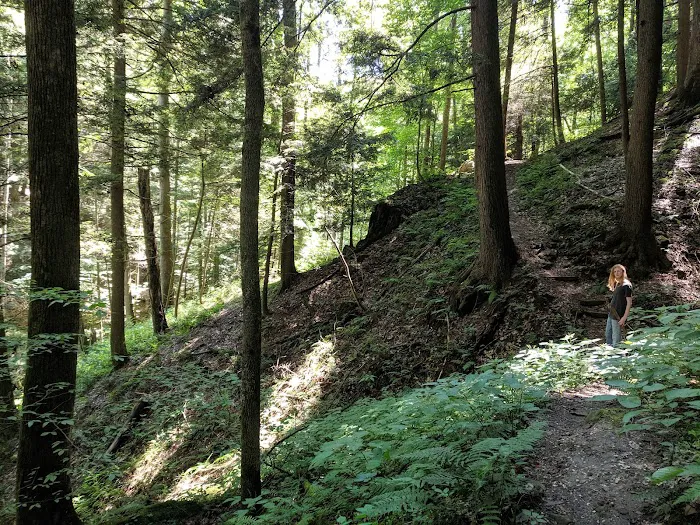 Canter's Cave Picture 5