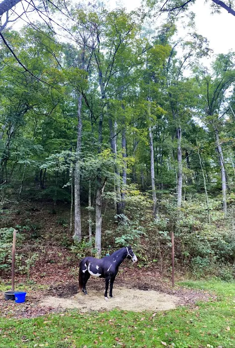 Paddle Creek Horse Camp Picture 8