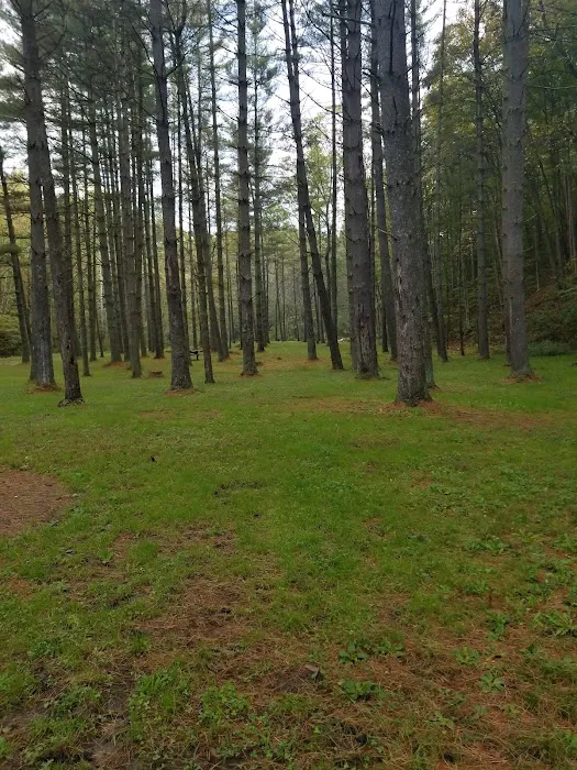 Paddle Creek Horse Camp Picture 5