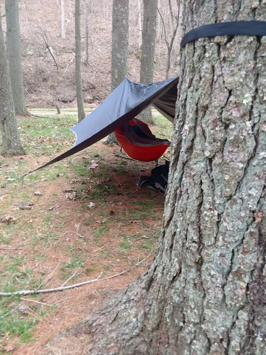 Paddle Creek Horse Camp Picture 7