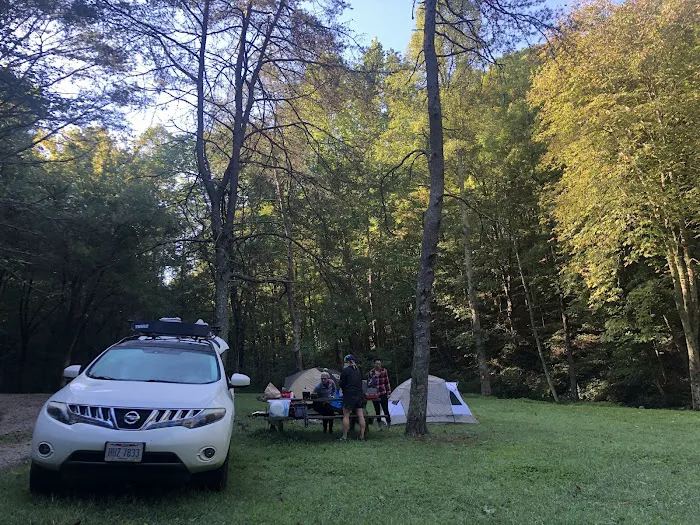 Paddle Creek Horse Camp Picture 4