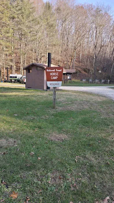 Paddle Creek Horse Camp Picture 1