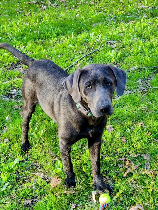 Paddle Creek Horse Camp Picture 9