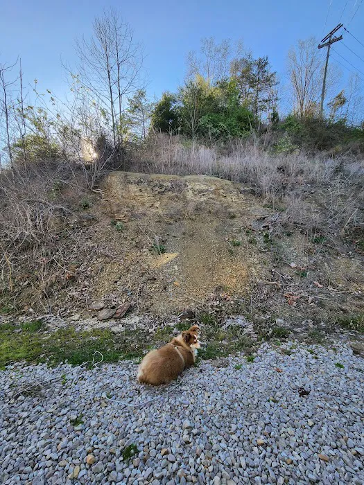 Walters Properties Campground Picture 6