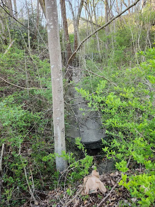 Walters Properties Campground Picture 4