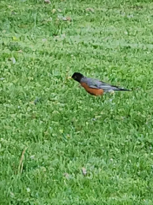 Walters Properties Campground Picture 3