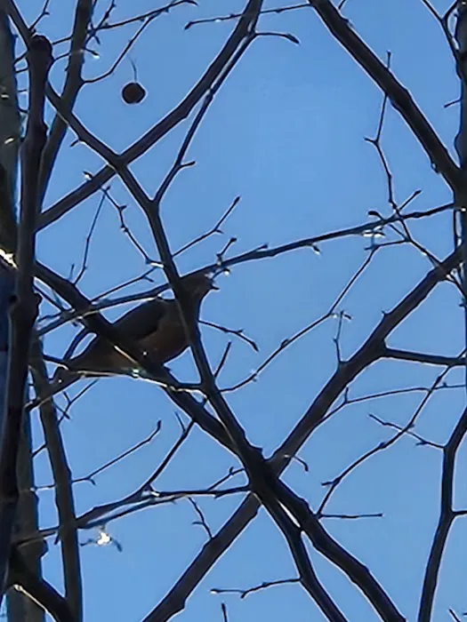 Walters Properties Campground Picture 2