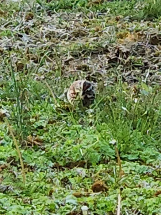 Walters Properties Campground Picture 7