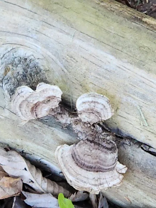 Walters Properties Campground Picture 1