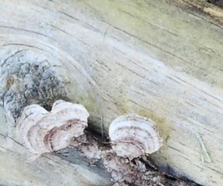 Walters Properties Campground