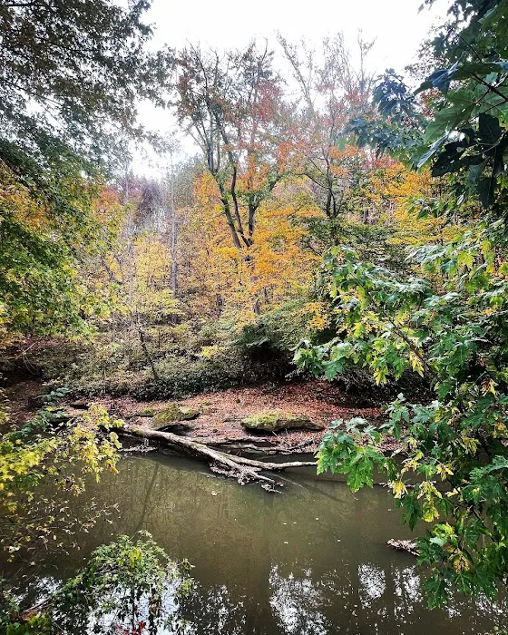 Jim's Camping Picture 6