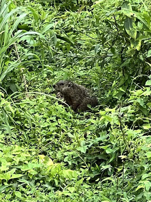 Jim's Camping Picture 4