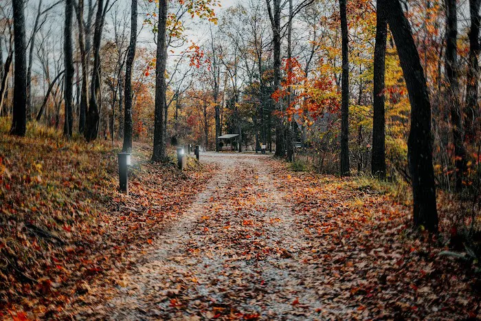 Creative Cabins Picture 1