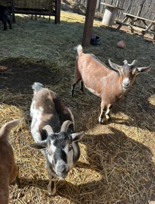 Creative Cabins Picture 7