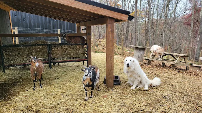 Creative Cabins Picture 5