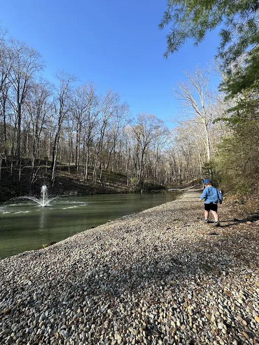 Creative Cabins Picture 4