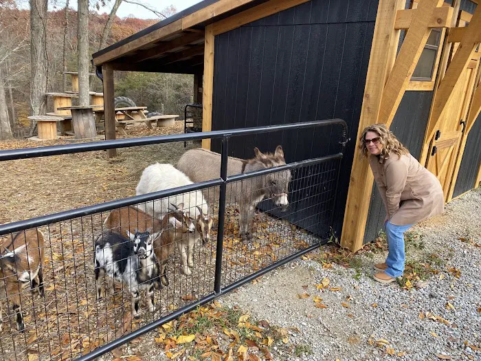 Creative Cabins - Lily Pad Container Picture 9