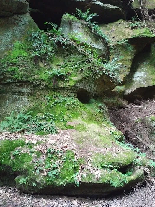 Rock Stalls Lodge Picture 8