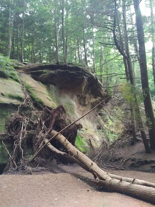 Rock Stalls Lodge Picture 7