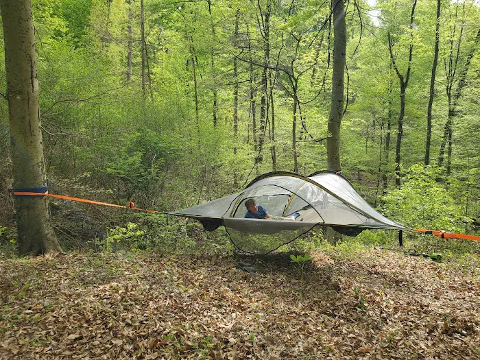 Lazy Ferret Glamping Picture 9