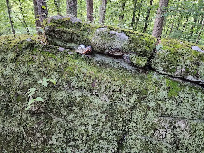 Lazy Ferret Glamping Picture 10