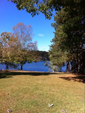 Firefly Cottage on Lake Logan Picture 7
