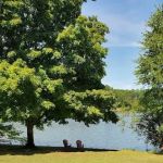 Firefly Cottage on Lake Logan