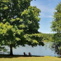 Firefly Cottage on Lake Logan ico