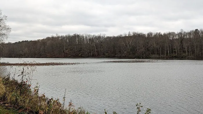 Lake Escape Cabin Picture 9