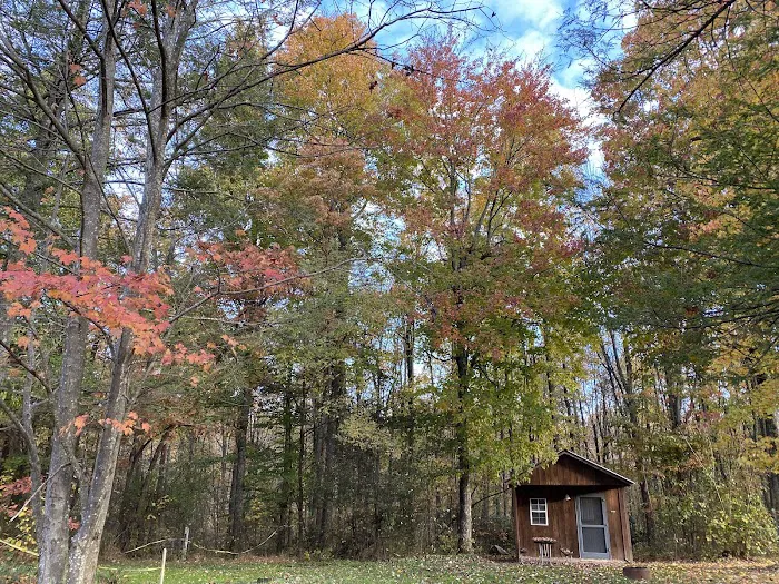 Rays Camp Ground Picture 6