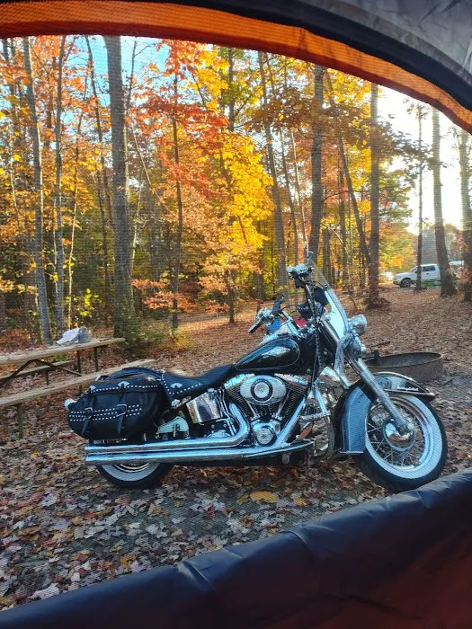 Rays Camp Ground Picture 4