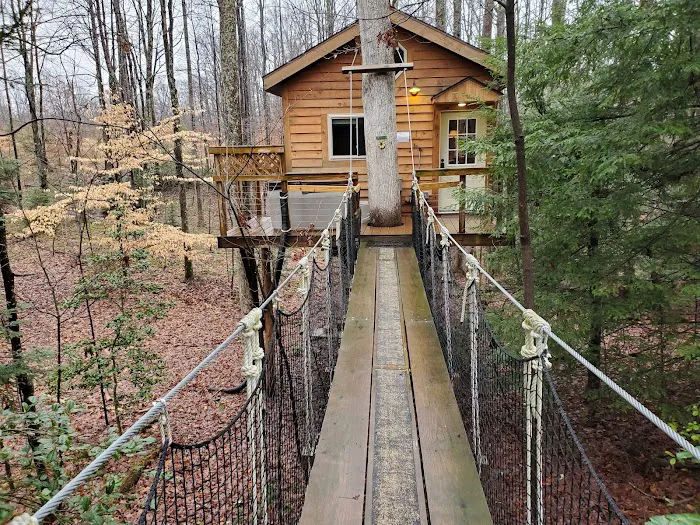 Tuscany Tree House Picture 6