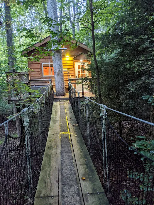 Tuscany Tree House Picture 9