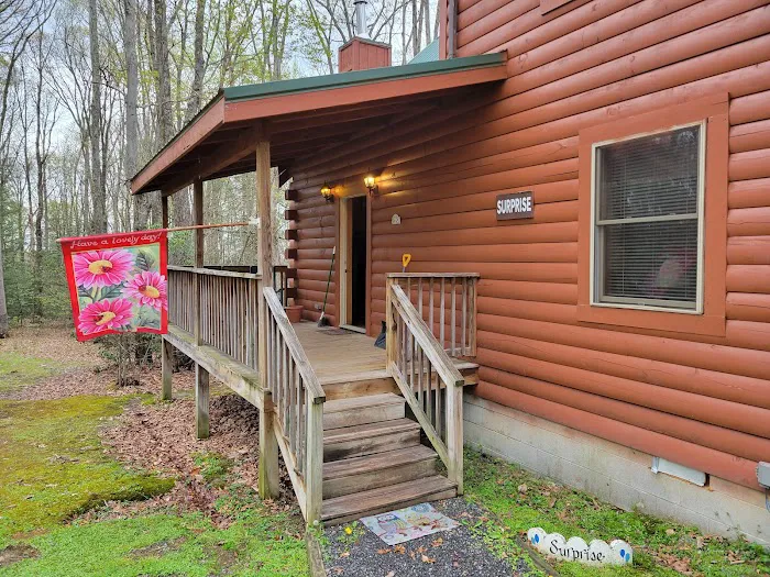 Love Shack Yurt Picture 2