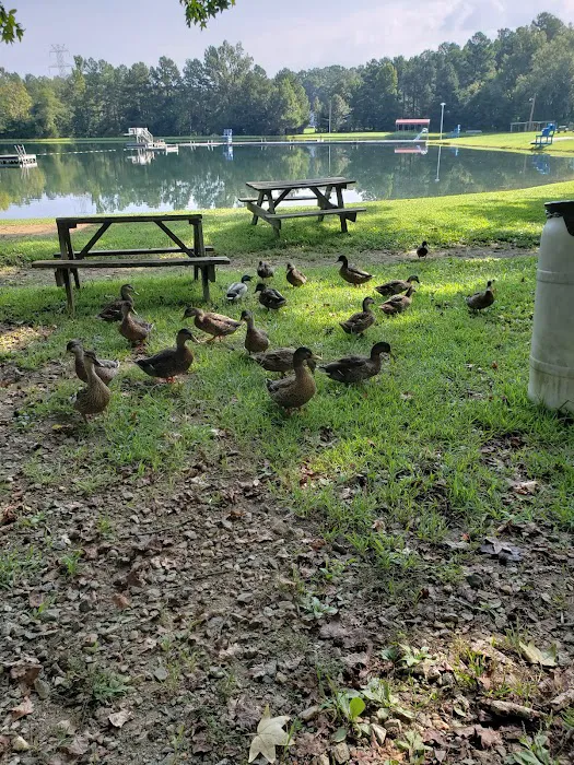 Hidden Lake Campgrounds Picture 8
