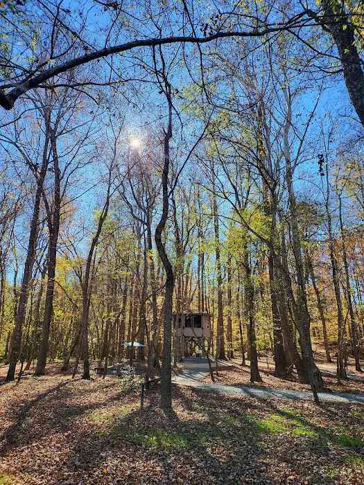 Saxapahaw Campground Picture 9