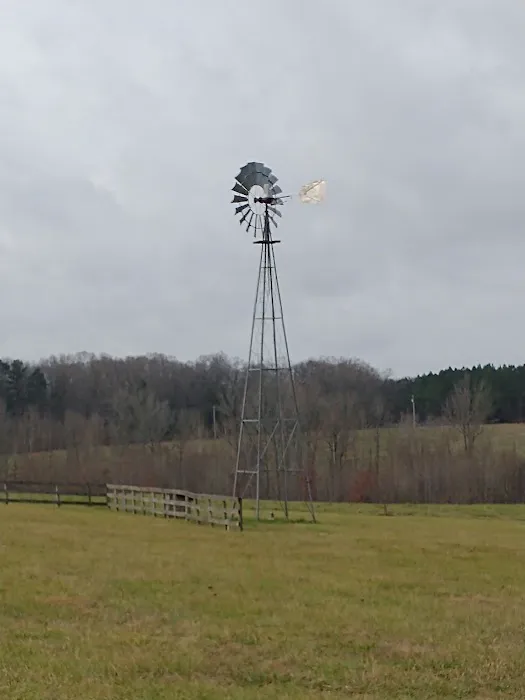 Cane Creek Campground & RV Prk Picture 3