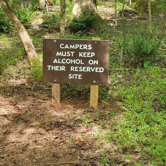Fanny's Ford Campground Picture 5