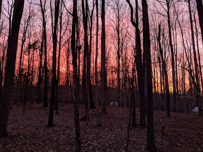 Fanny's Ford Campground Picture 3