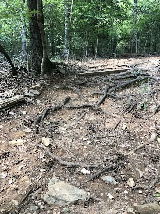 Piper Creek Campground Picture 4