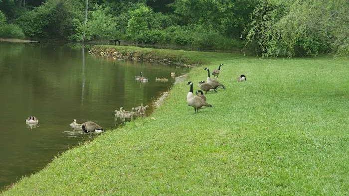 Beechnut Family Campground Picture 3