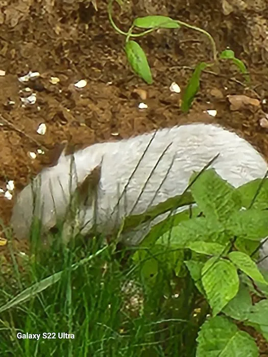 River's Edge Trail Camp Picture 5