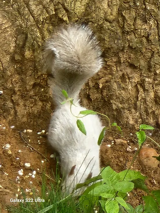 River's Edge Trail Camp Picture 7