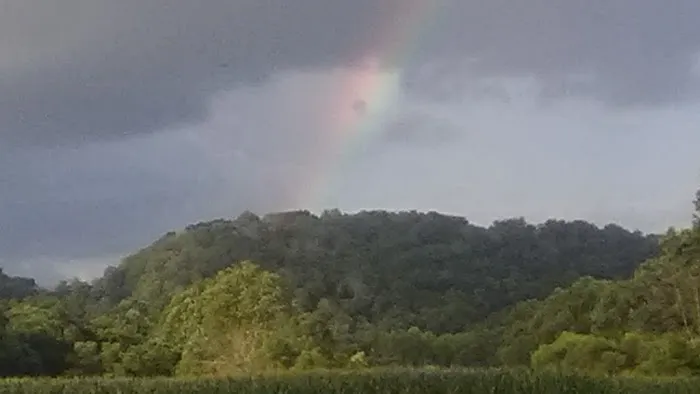 River Junction Campground and Canoeing Picture 2