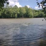 River Junction Campground and Canoeing
