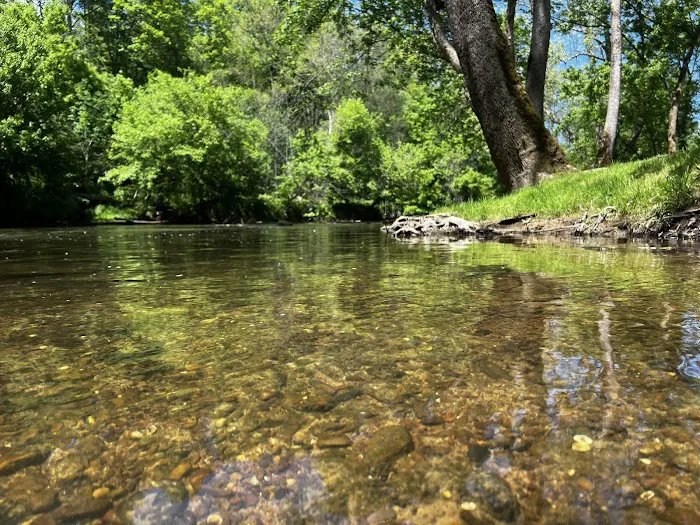 Paddlers Creekside Campground Picture 7