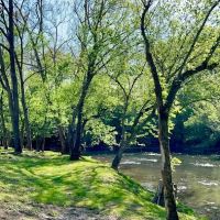 Paddlers Creekside Campground ico